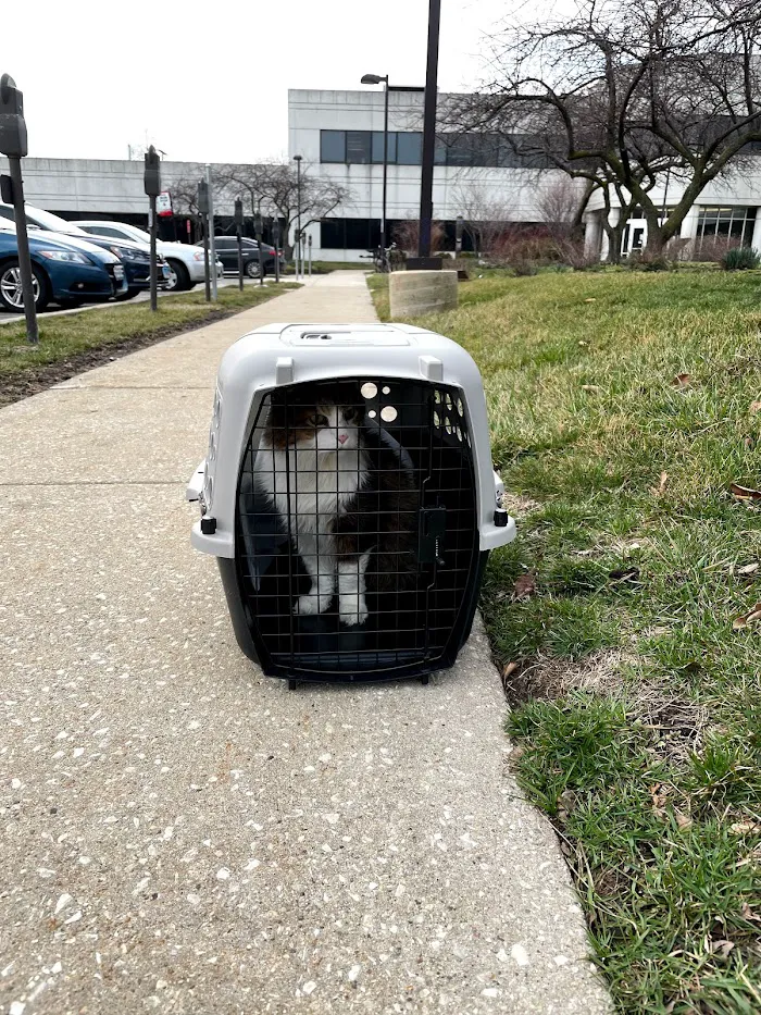Medical District Veterinary Clinic at Illinois 12