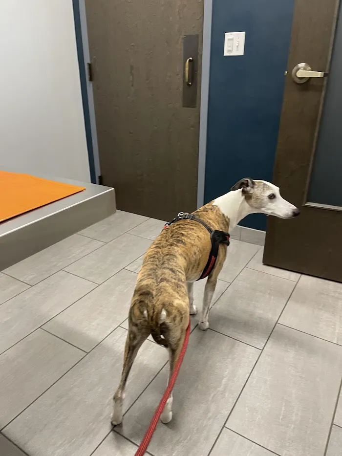 East Side Veterinary Clinic 7