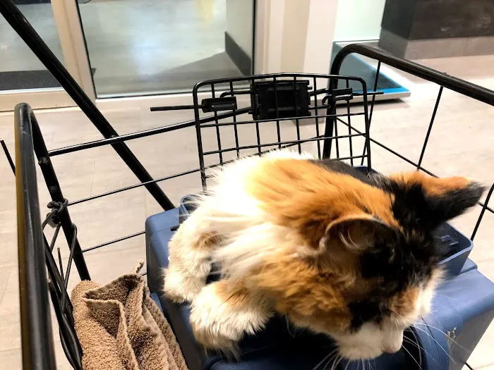 East Side Veterinary Clinic 3