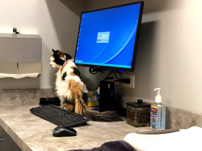East Side Veterinary Clinic 6
