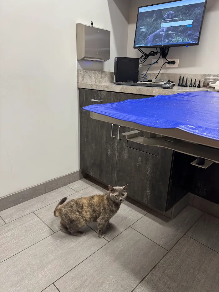 East Side Veterinary Clinic 1