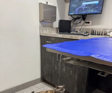 East Side Veterinary Clinic