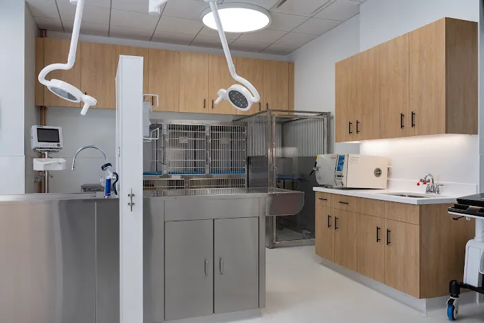 Scout Veterinary Urgent Care - West Loop 12