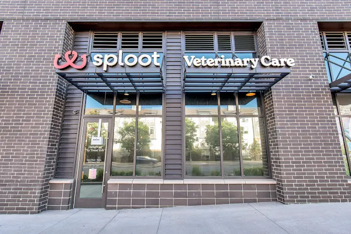 Sploot Veterinary Care - Roscoe Village 3