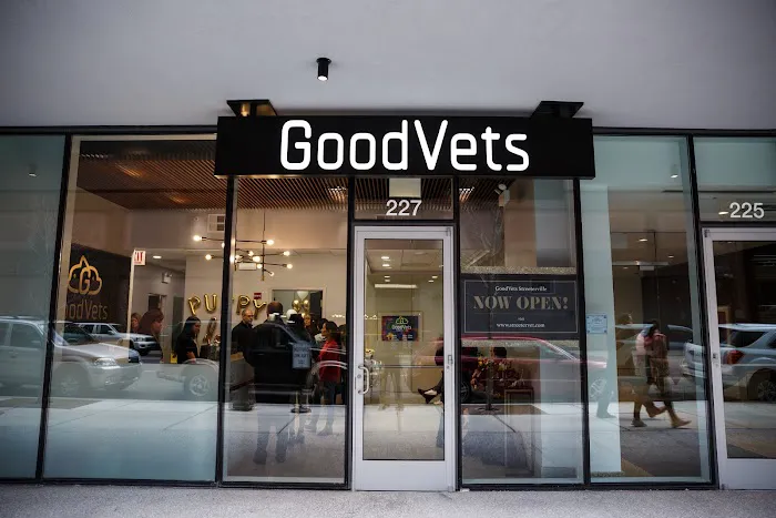 GoodVets Streeterville 5