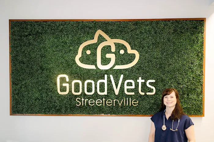 GoodVets Streeterville 8
