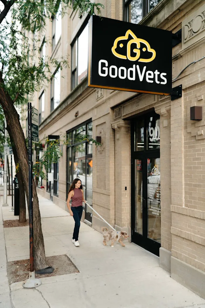 GoodVets West Loop 1