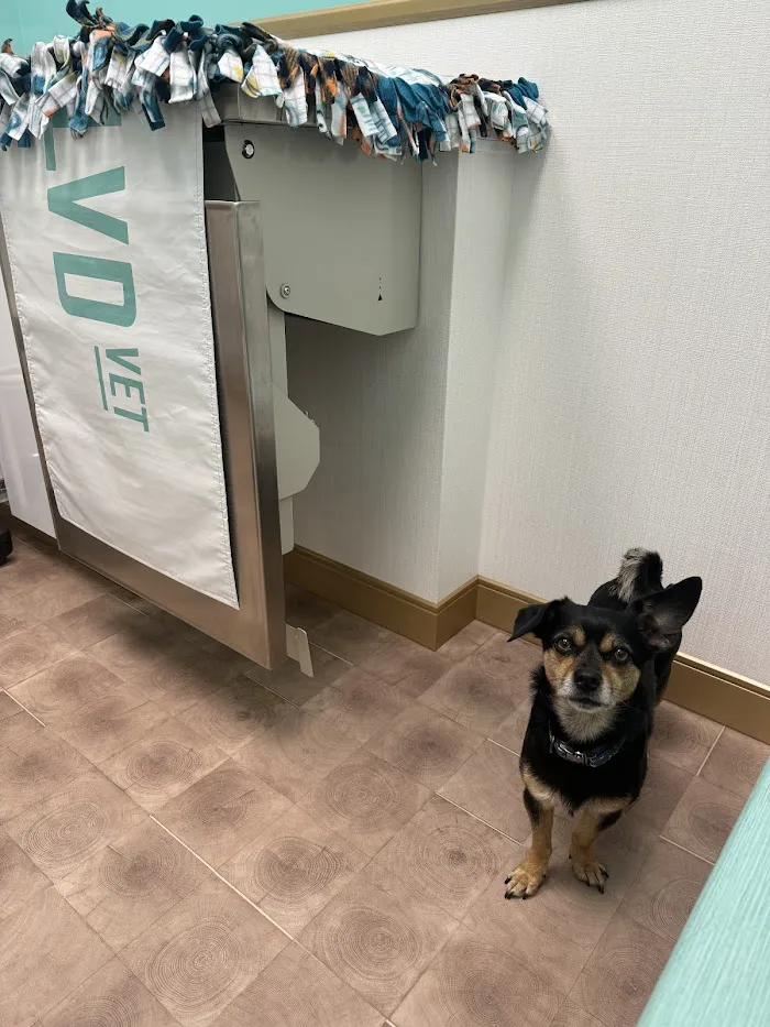 BLVD Vet Lakeview Lincoln Park 12