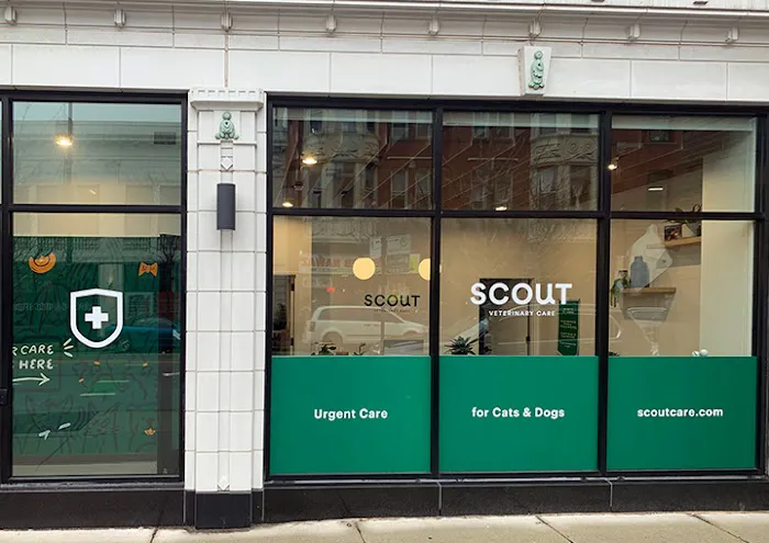 Scout Veterinary Urgent Care - Lincoln Park 1