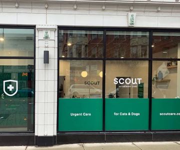 Scout Veterinary Urgent Care - Lincoln Park