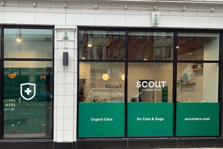 Scout Veterinary Urgent Care - Lincoln Park