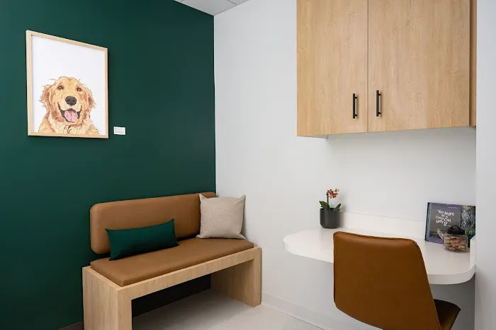 Scout Veterinary Urgent Care - Lincoln Park 3