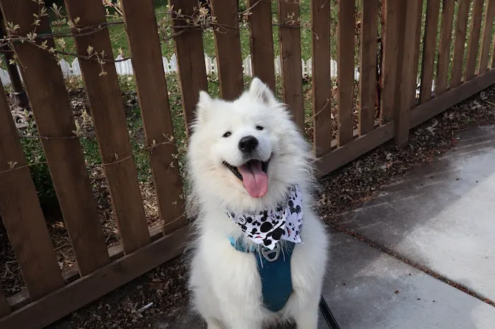 Old Town Animal Care Center 4