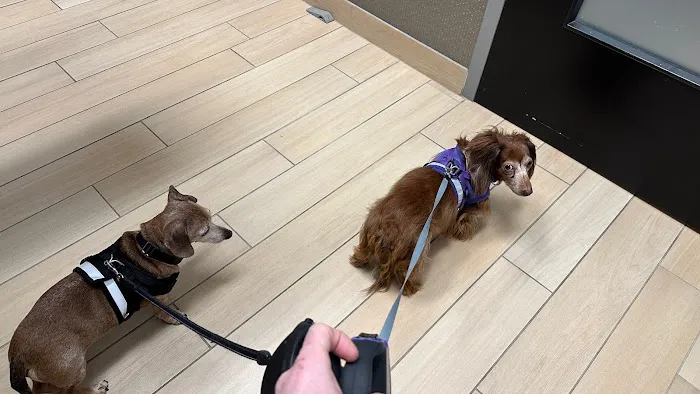 Old Town Animal Care Center 3