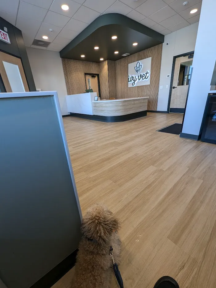 Ivy Veterinary Care 12