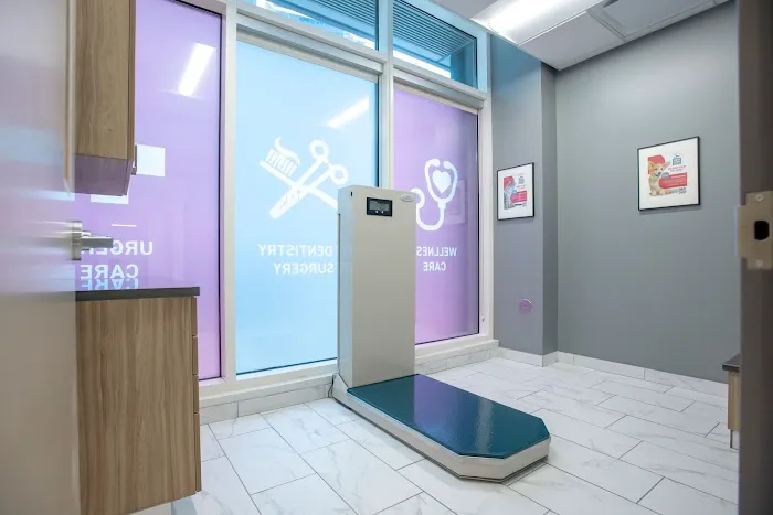 West Loop Veterinary Care Streeterville 4