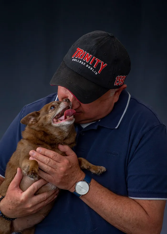West Loop Veterinary Care Streeterville 8
