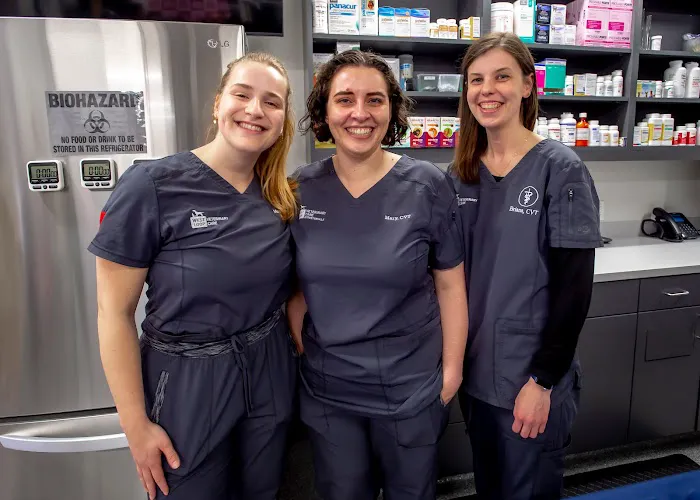 West Loop Veterinary Care Streeterville 3