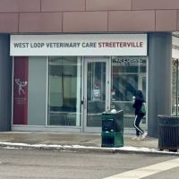 West Loop Veterinary Care Streeterville ico