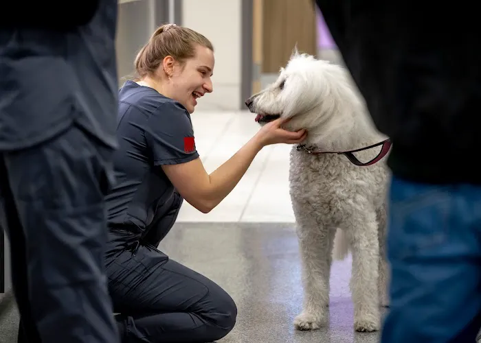 West Loop Veterinary Care Streeterville 5