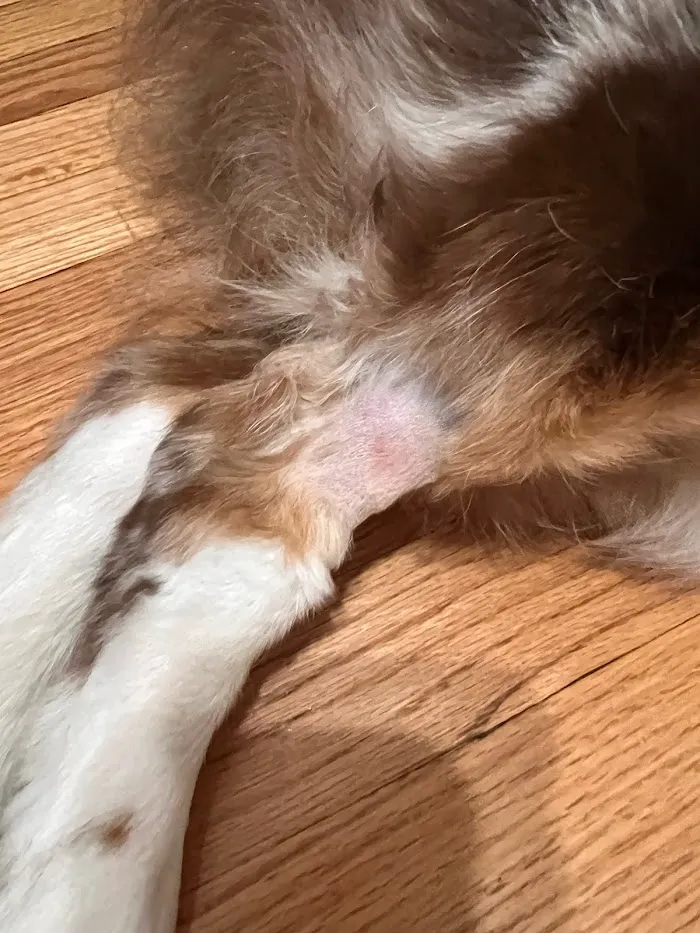 Banfield Pet Hospital 7