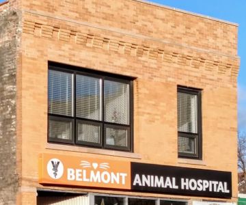 Belmont Animal Hospital of Chicago