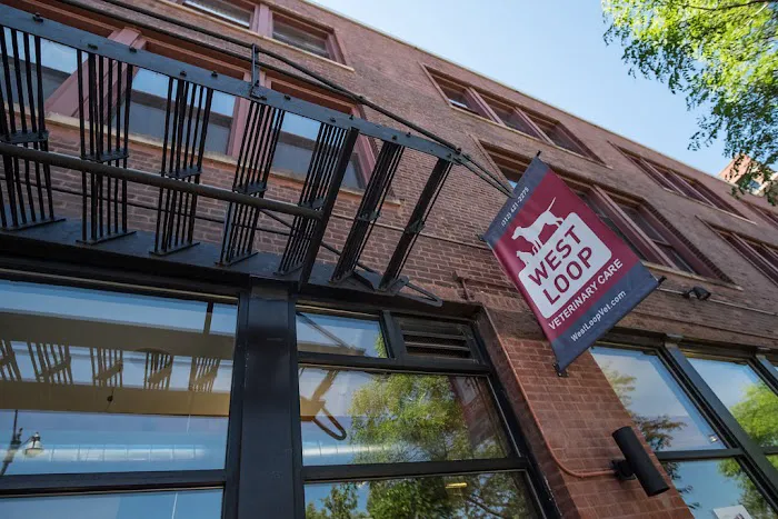 West Loop Veterinary Care 8
