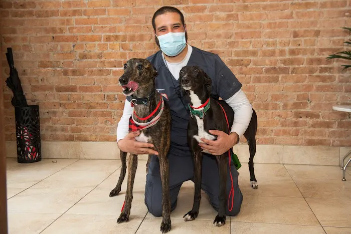West Loop Veterinary Care 4