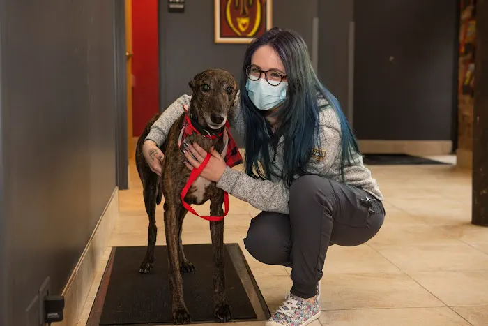 West Loop Veterinary Care 3