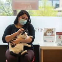 West Loop Veterinary Care ico
