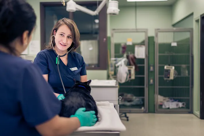 Premier Veterinary Group - Chicago 5