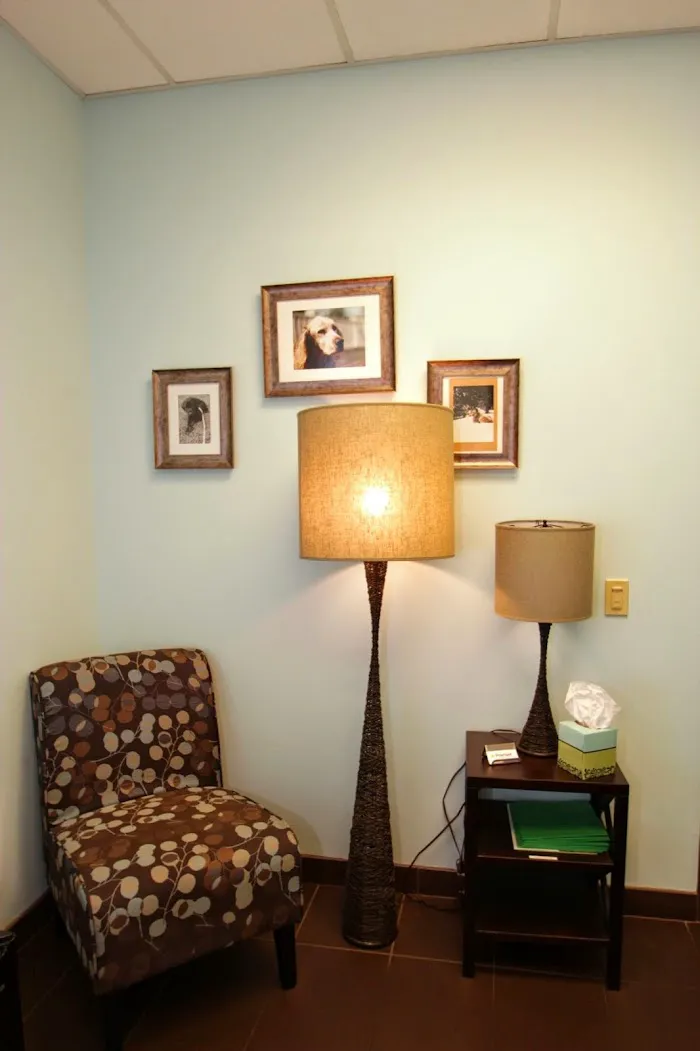 Premier Veterinary Group - Chicago 2