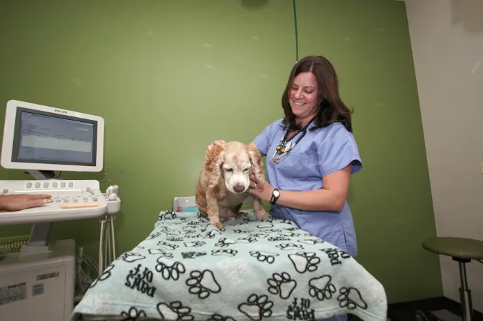 Premier Veterinary Group - Chicago 1