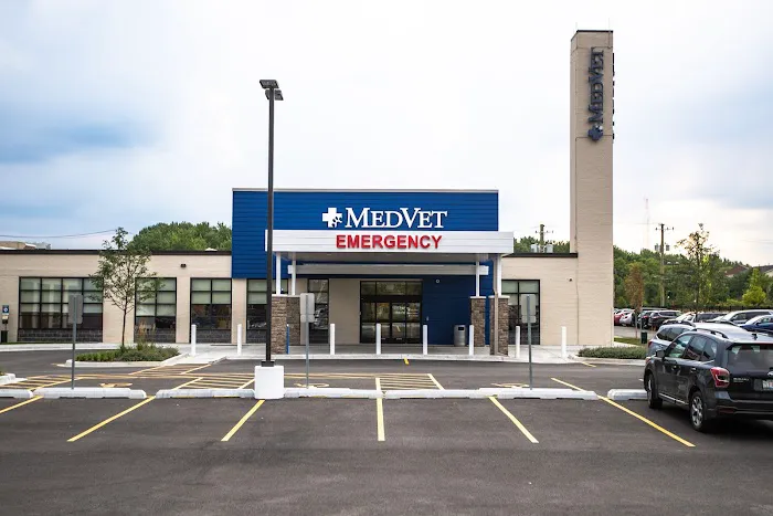 MedVet Chicago 12