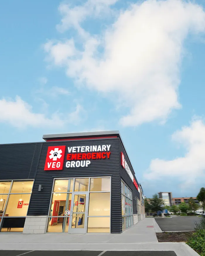 Veterinary Emergency Group 12
