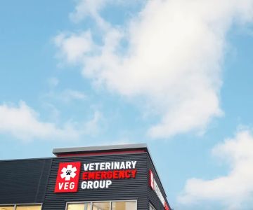 Veterinary Emergency Group