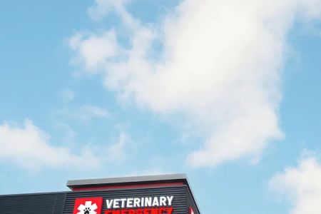 Veterinary Emergency Group