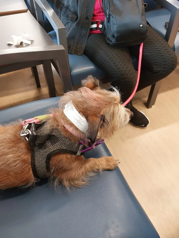 Chicago Veterinary Emergency Center and Specialty Care 12