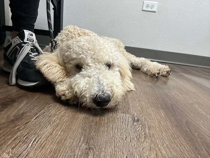 Alachua Animal Hospital 5