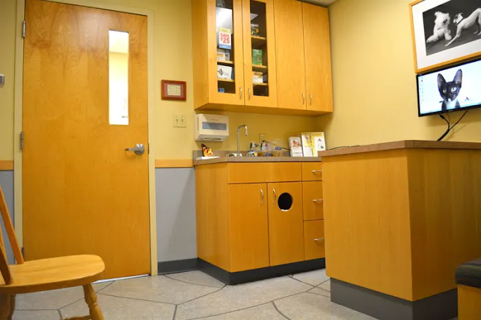 Micanopy Animal Hospital 12