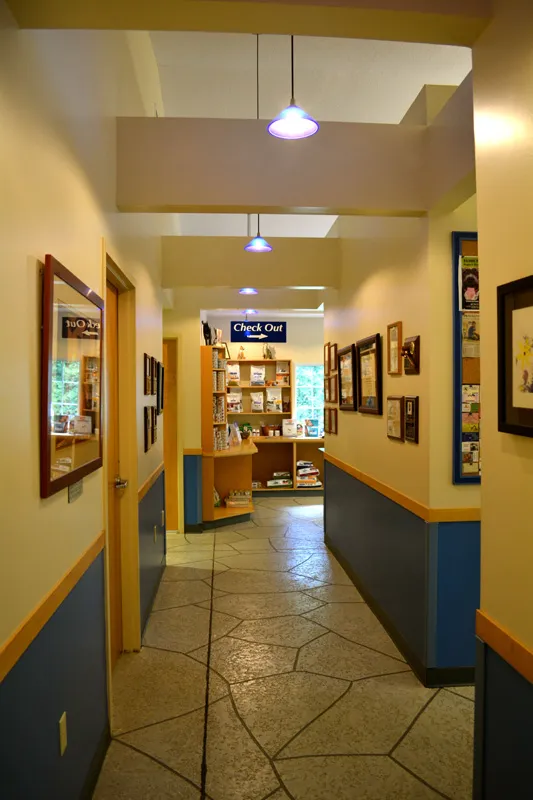 Micanopy Animal Hospital 12