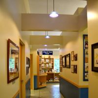 Micanopy Animal Hospital ico