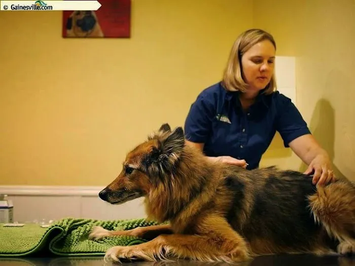 Newberry Animal Holistic And Wellness Center 12
