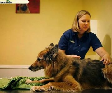 Newberry Animal Holistic And Wellness Center