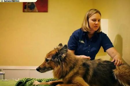 Newberry Animal Holistic And Wellness Center