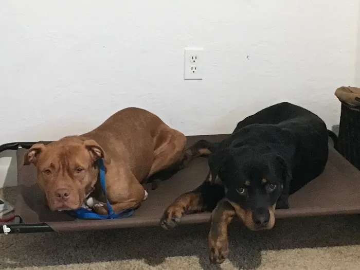 Newberry Animal Holistic And Wellness Center 12