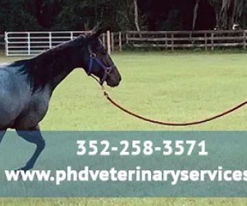 PHD Veterinary Services
