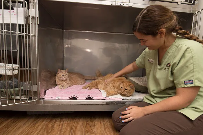 Jonesville Animal Hospital 5