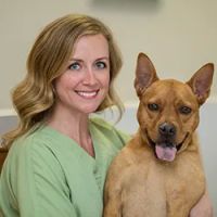 Jonesville Animal Hospital ico