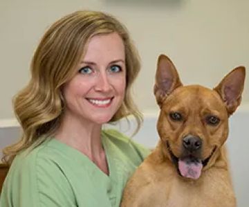 Jonesville Animal Hospital